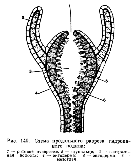 Сайт кракен онион